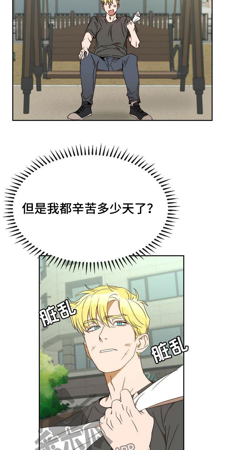 《钻石神偷》第44章安稳人生 第12页