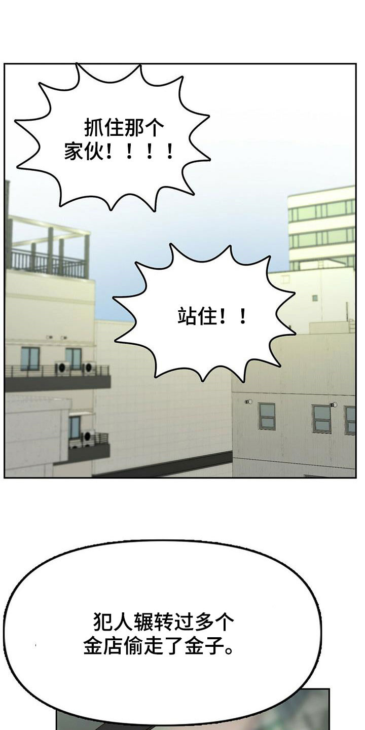 《钻石神偷》第44章安稳人生 第15页