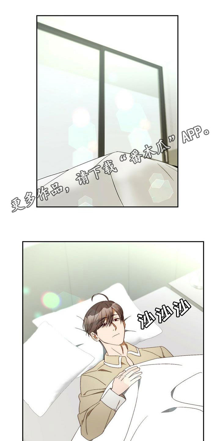 《钻石神偷》第44章安稳人生 第1页