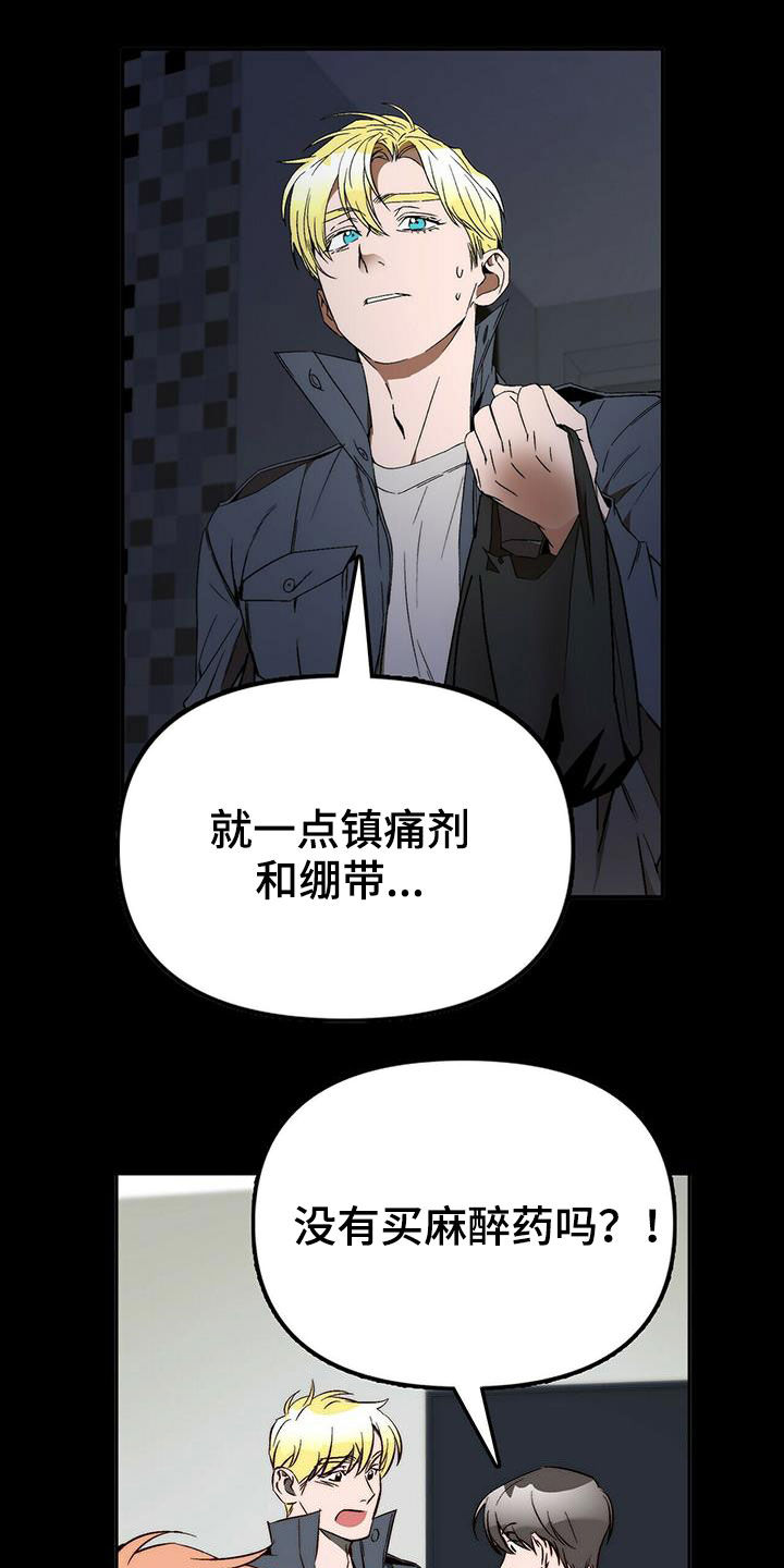《钻石神偷》第40章总是有理由 第10页