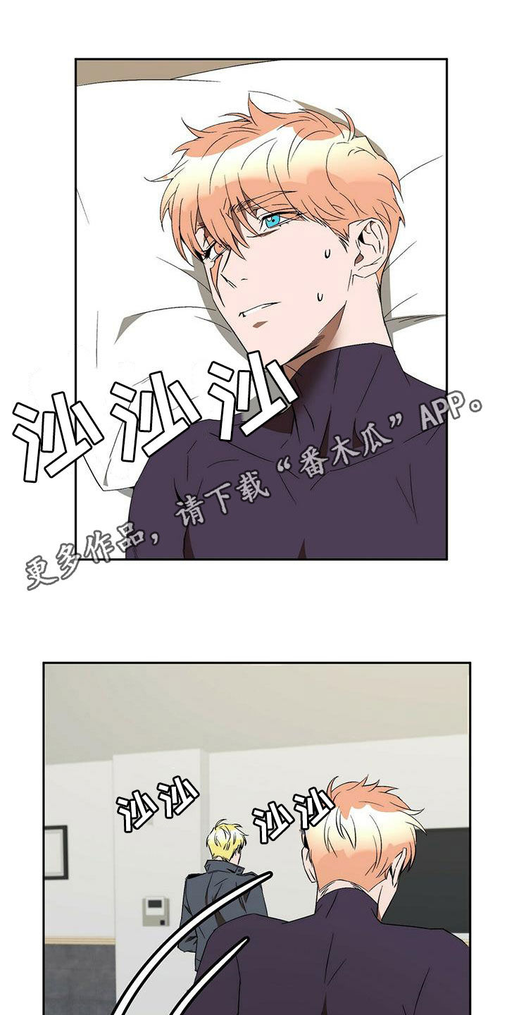 《钻石神偷》第40章总是有理由 第1页
