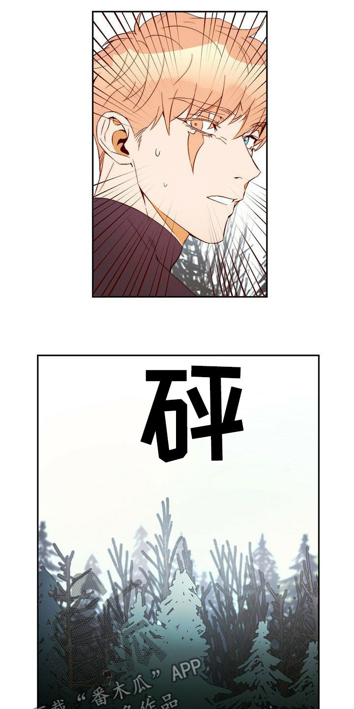 《钻石神偷》第42章除掉你 第11页