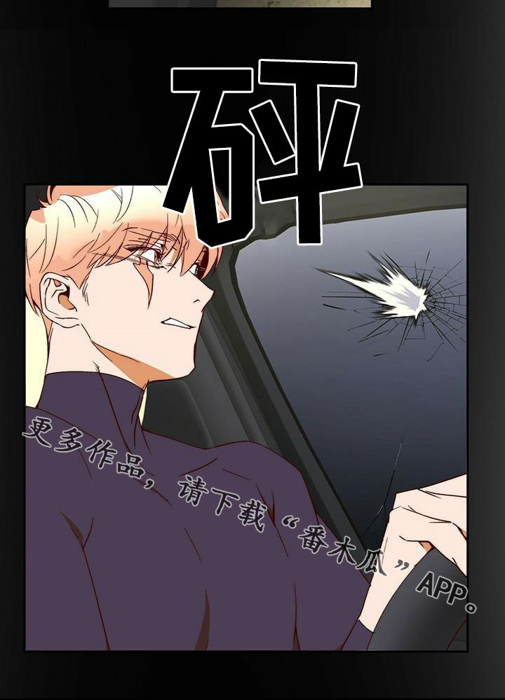 《钻石神偷》第42章除掉你 第18页