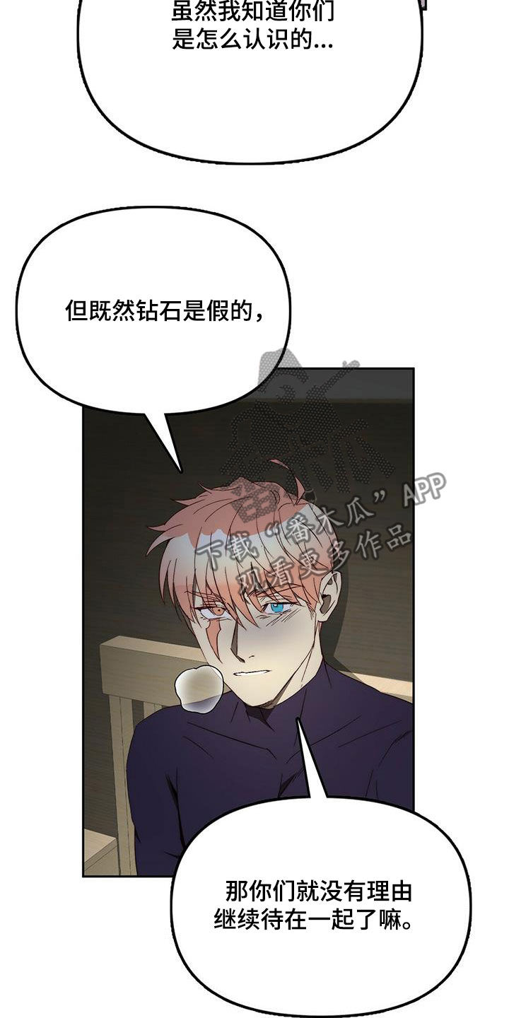 《钻石神偷》第38章没有理由 第15页