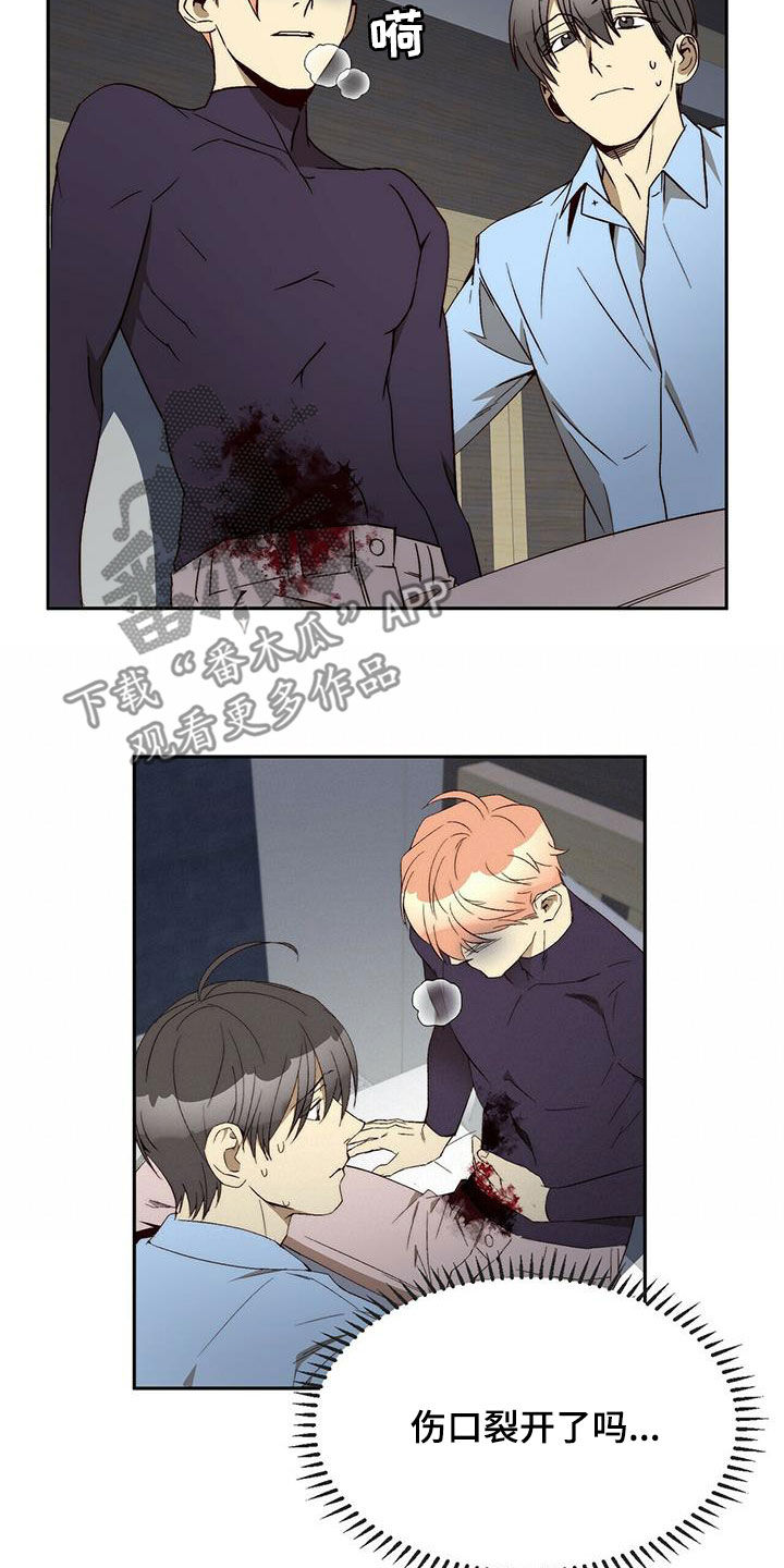 《钻石神偷》第38章没有理由 第5页