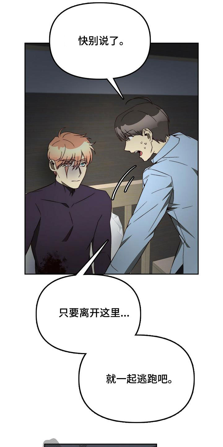 《钻石神偷》第39章劝说 第10页
