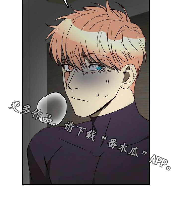 《钻石神偷》第39章劝说 第17页