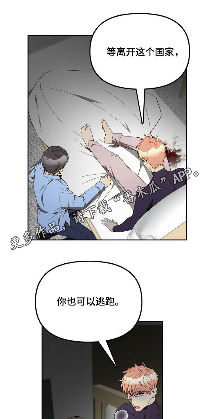 《钻石神偷》第39章劝说 第1页