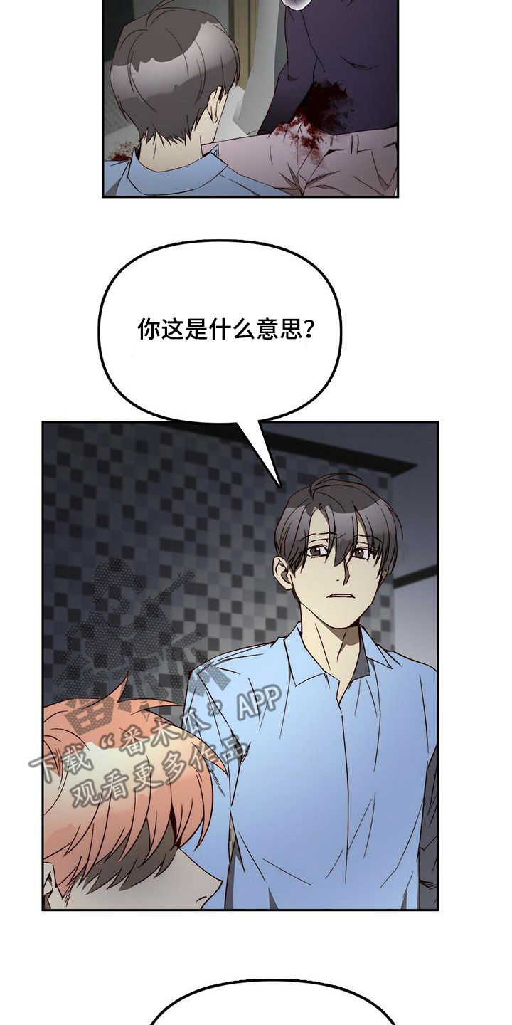 《钻石神偷》第39章劝说 第2页