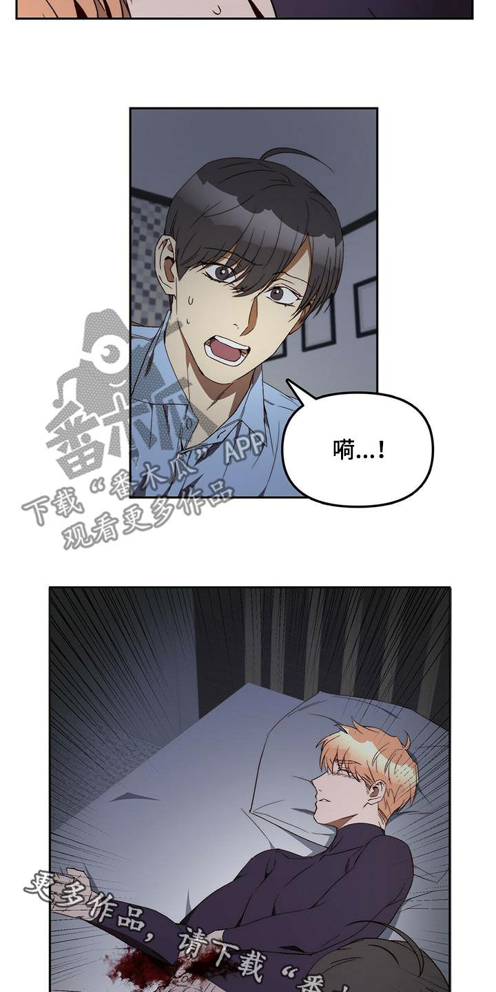《钻石神偷》第37章突发 第17页