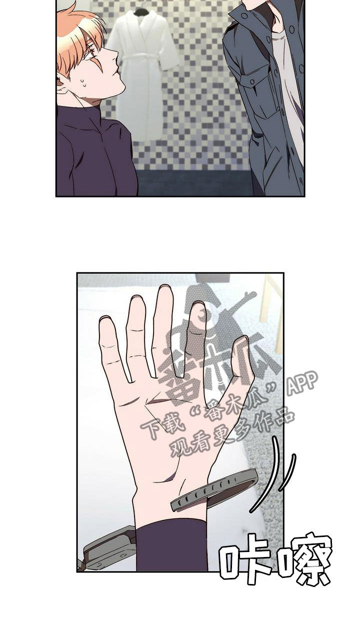 《钻石神偷》第37章突发 第9页