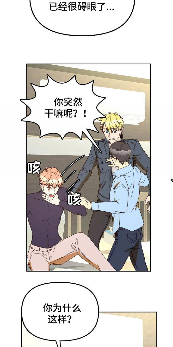 《钻石神偷》第35章二选一 第16页