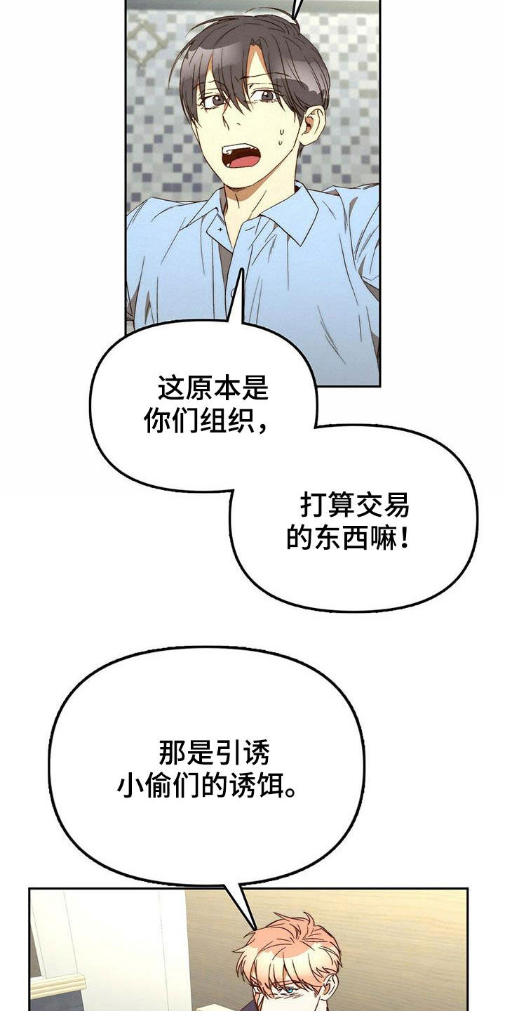 《钻石神偷》第35章二选一 第9页