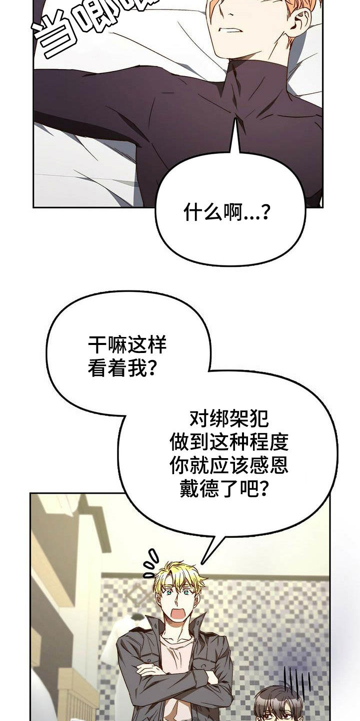 《钻石神偷》第34章巧合 第17页