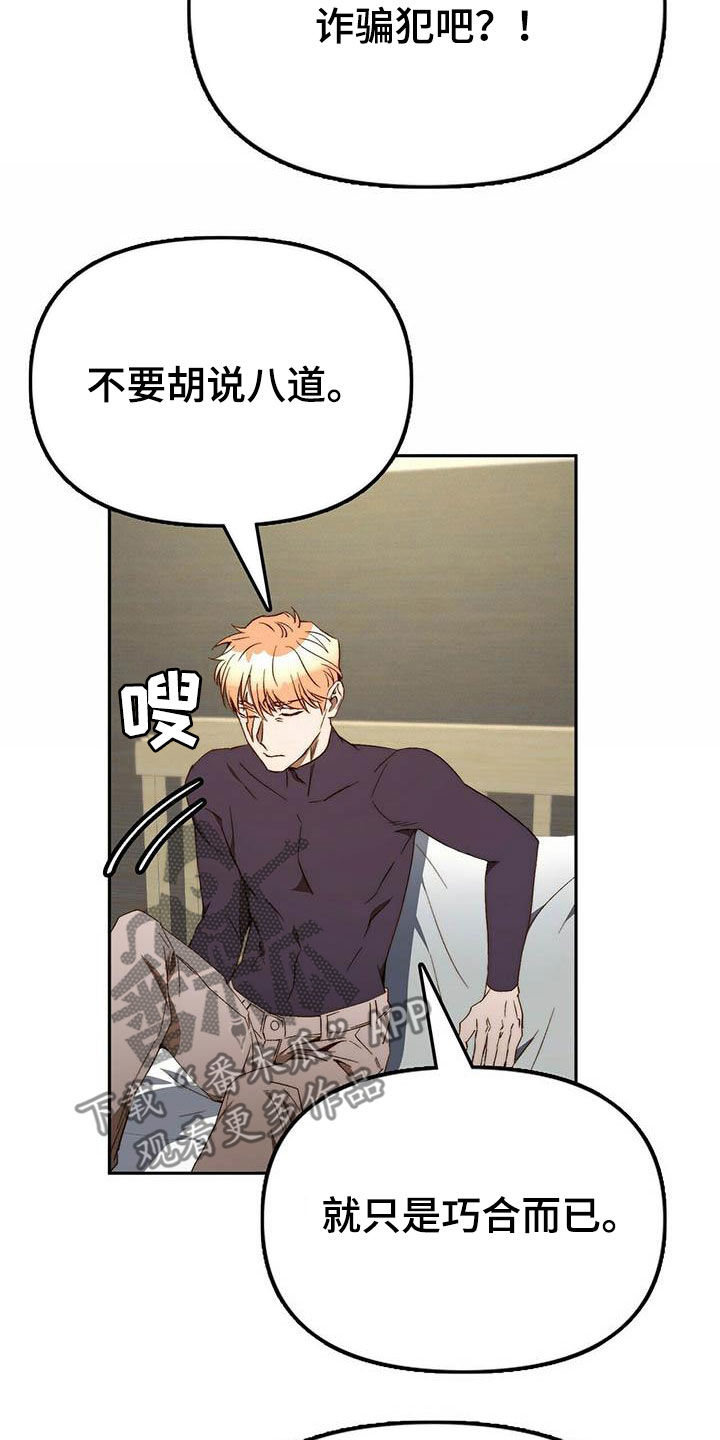 《钻石神偷》第34章巧合 第20页