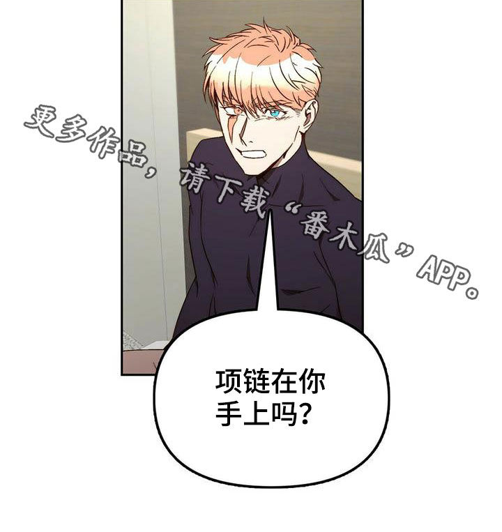 《钻石神偷》第34章巧合 第25页