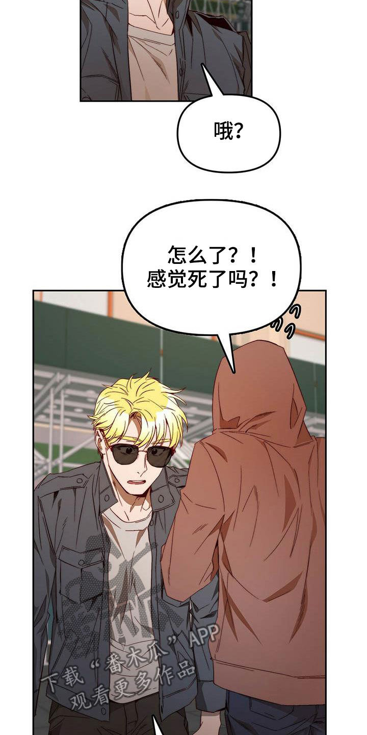 《钻石神偷》第34章巧合 第4页