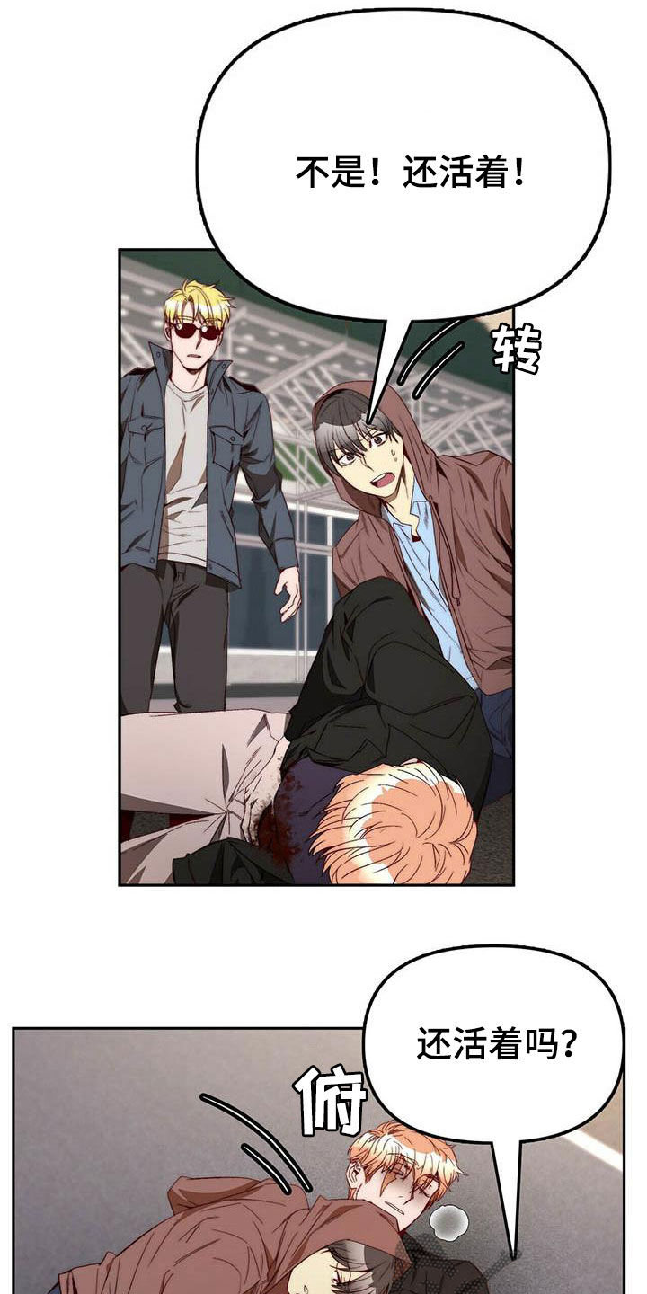《钻石神偷》第34章巧合 第6页