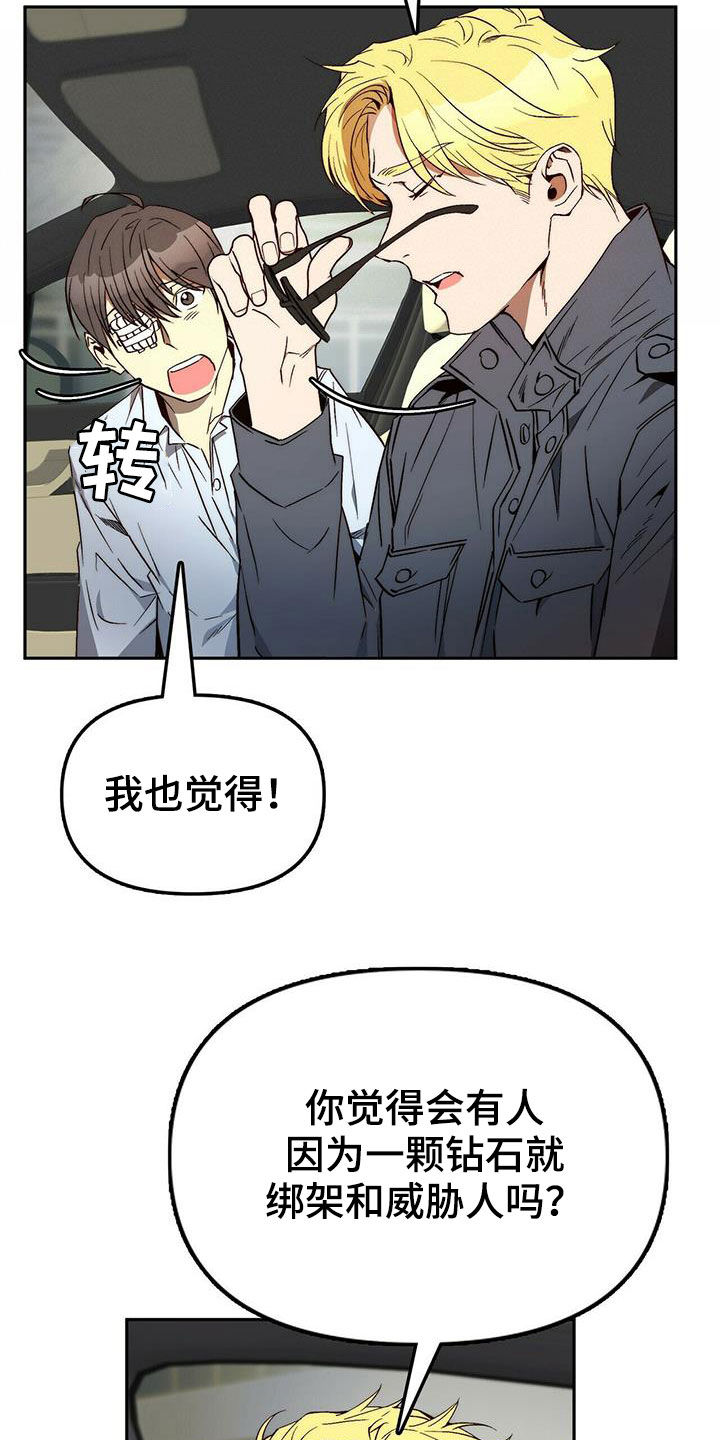 《钻石神偷》第31章不用担心 第12页