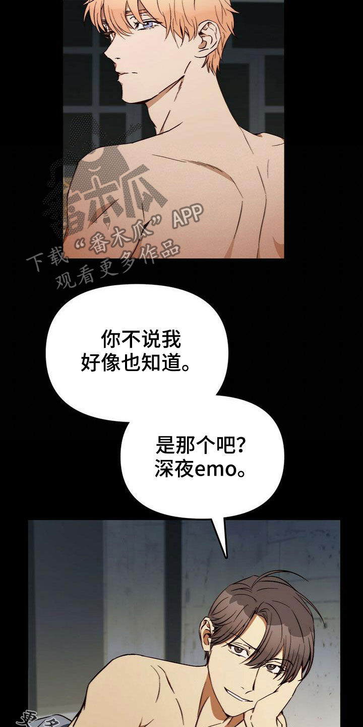 《钻石神偷》第31章不用担心 第18页