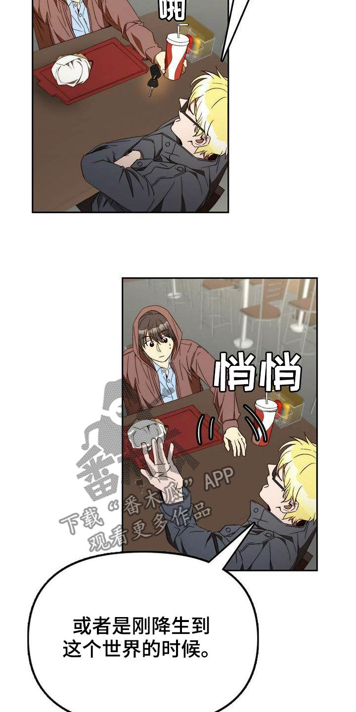 《钻石神偷》第33章车祸 第11页