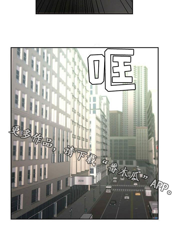 《钻石神偷》第33章车祸 第21页