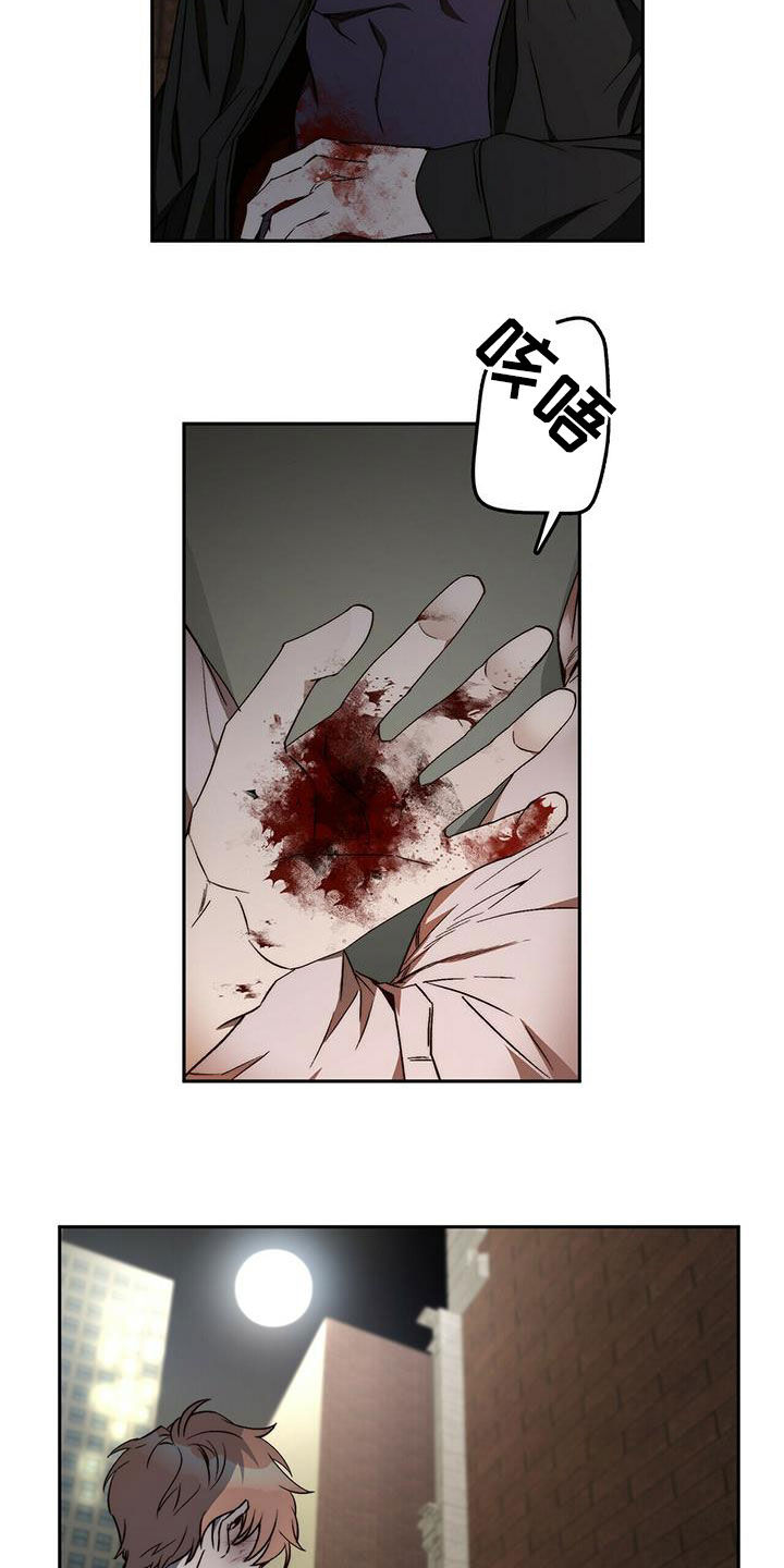 《钻石神偷》第32章都是你的错 第17页