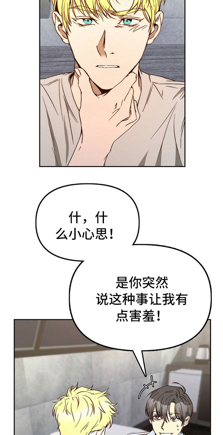《钻石神偷》第28章真心话 第10页
