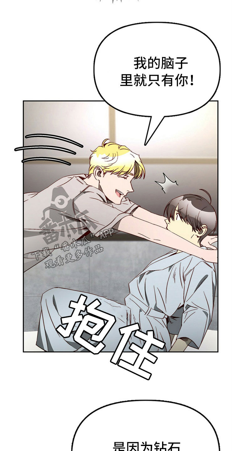 《钻石神偷》第28章真心话 第13页