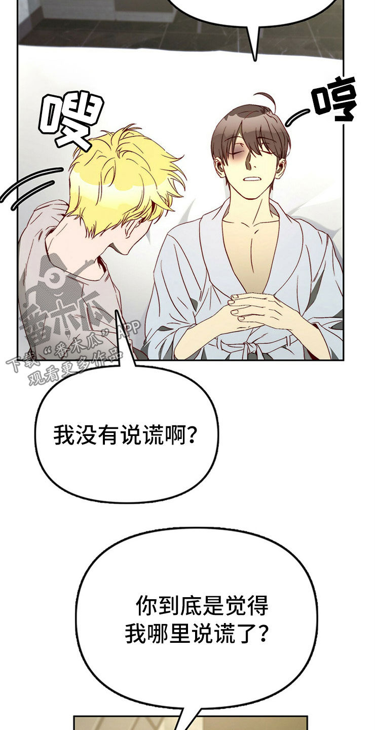 《钻石神偷》第28章真心话 第17页