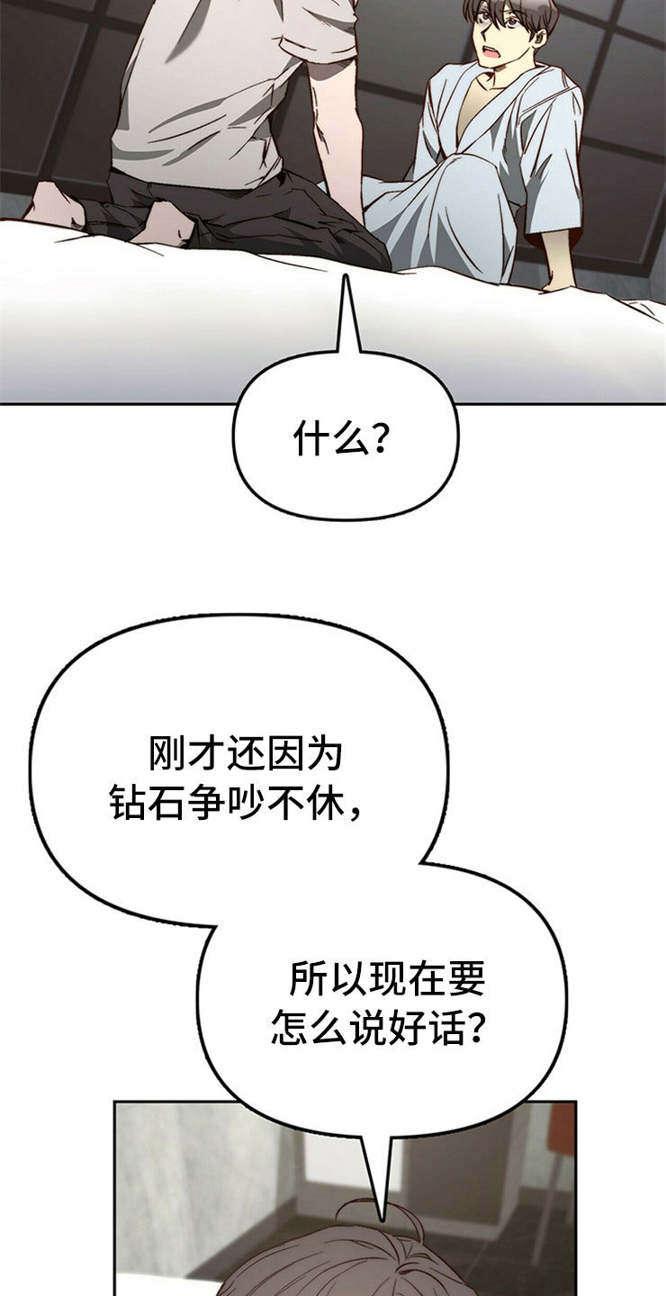 《钻石神偷》第28章真心话 第6页