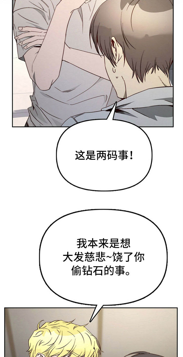 《钻石神偷》第28章真心话 第8页