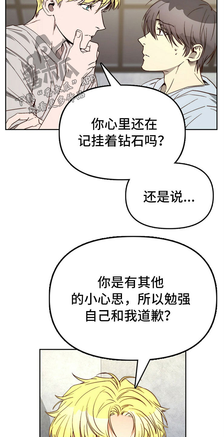 《钻石神偷》第28章真心话 第9页