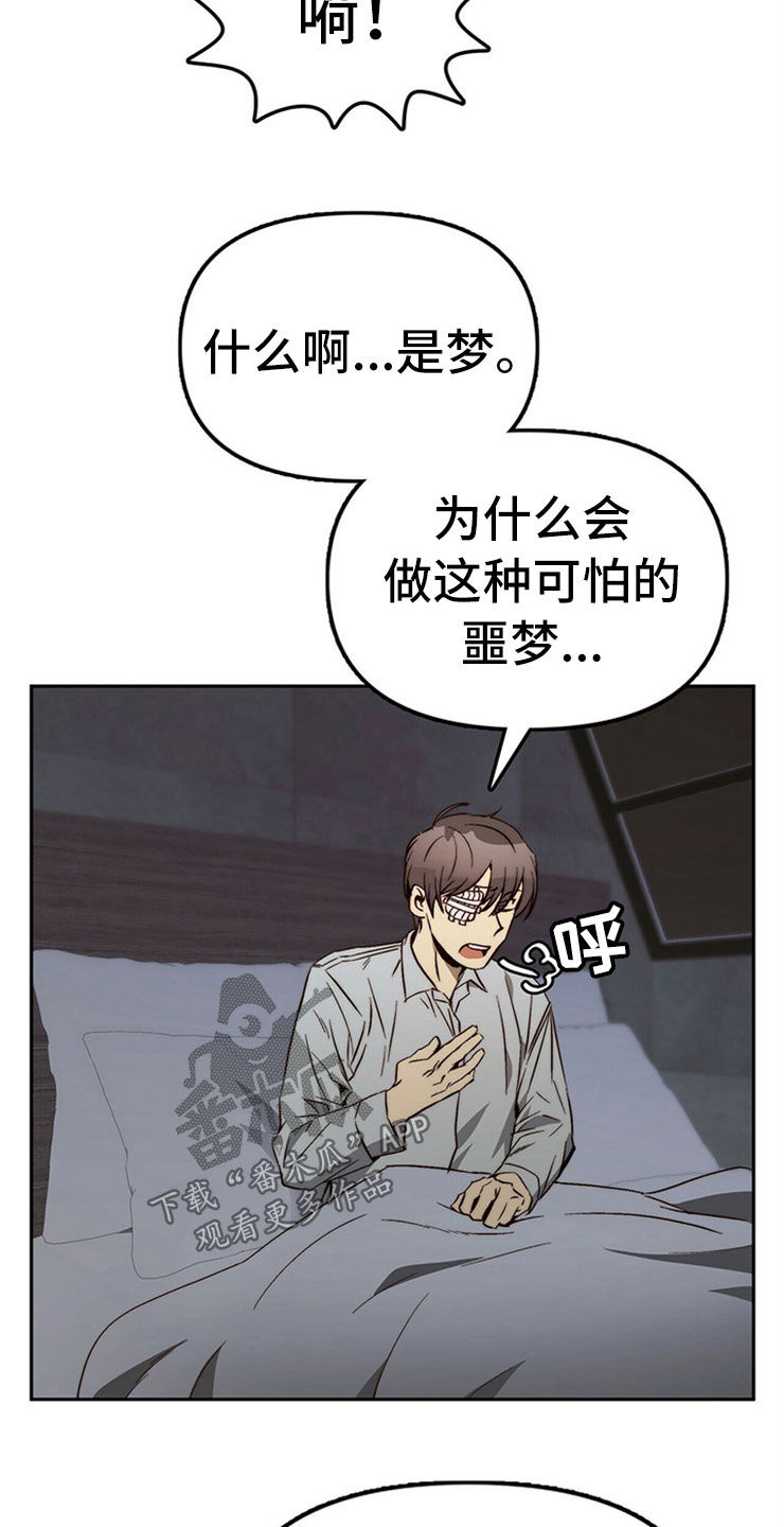 《钻石神偷》第30章重新投胎 第10页