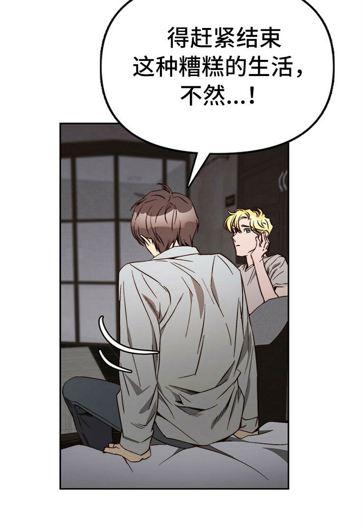 《钻石神偷》第30章重新投胎 第11页