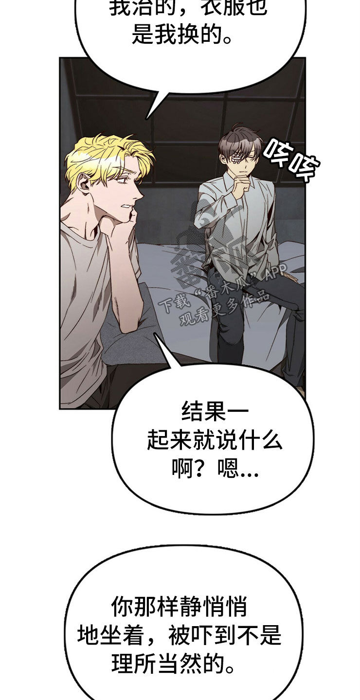 《钻石神偷》第30章重新投胎 第13页
