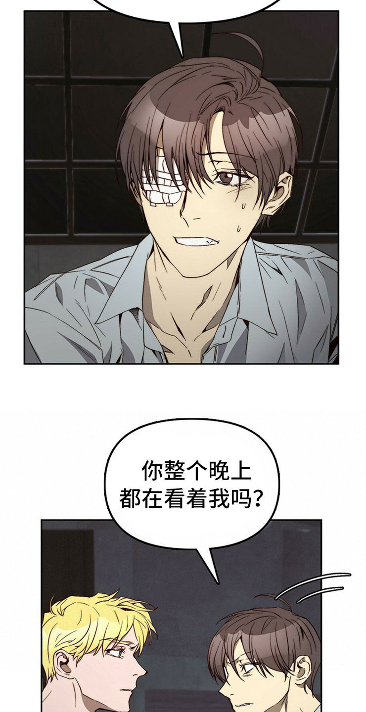 《钻石神偷》第30章重新投胎 第14页