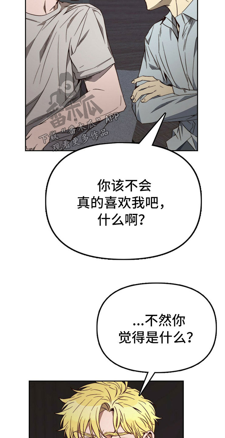 《钻石神偷》第30章重新投胎 第15页
