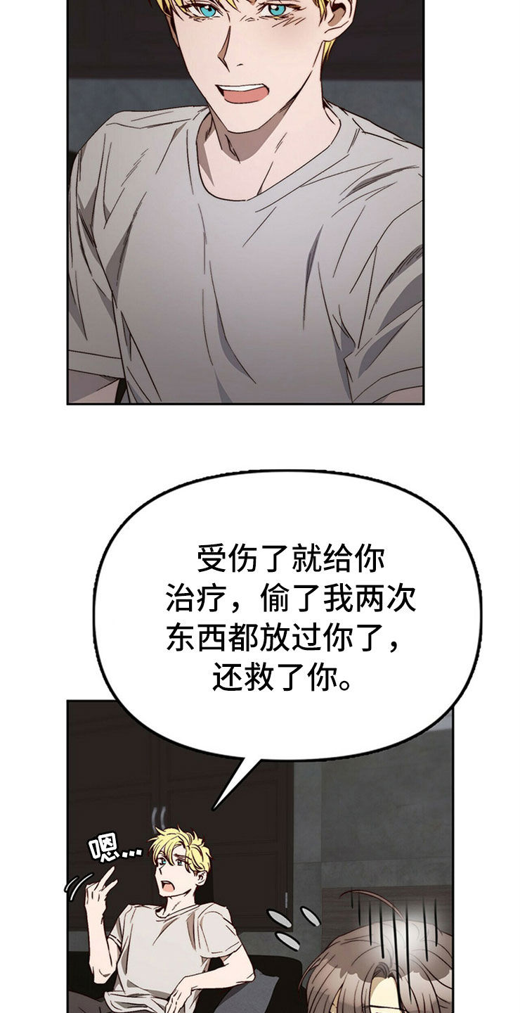 《钻石神偷》第30章重新投胎 第16页
