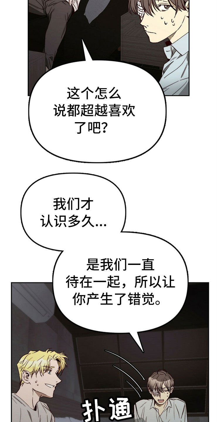 《钻石神偷》第30章重新投胎 第17页