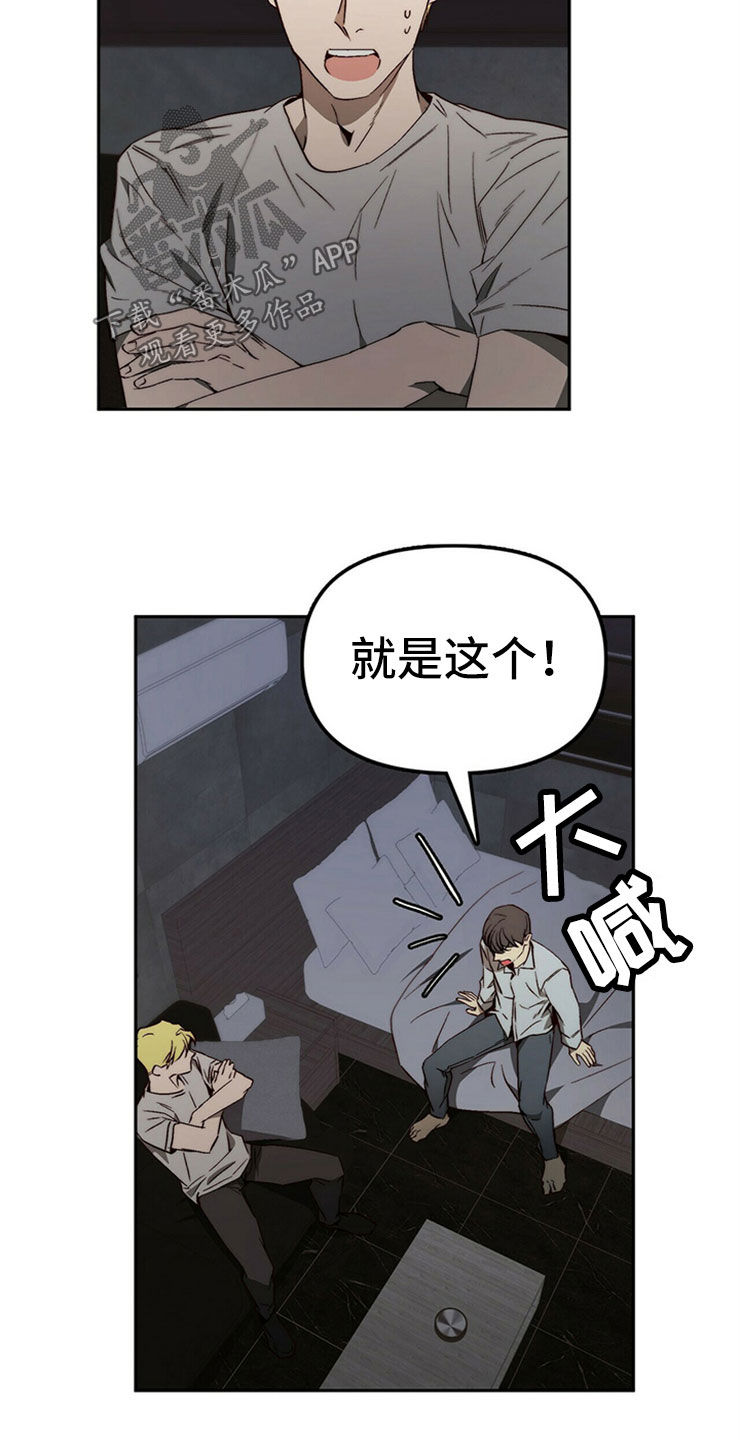 《钻石神偷》第30章重新投胎 第20页
