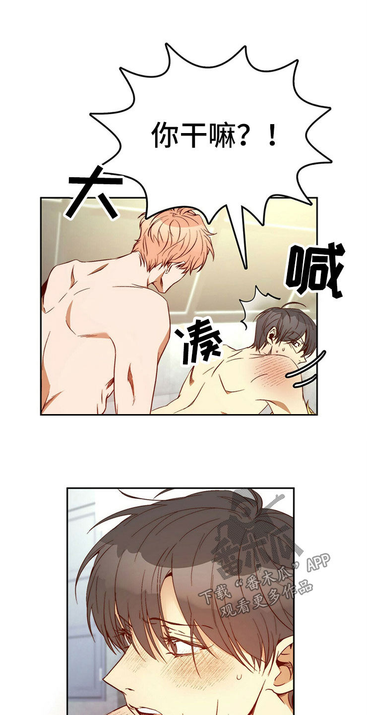 《钻石神偷》第30章重新投胎 第4页