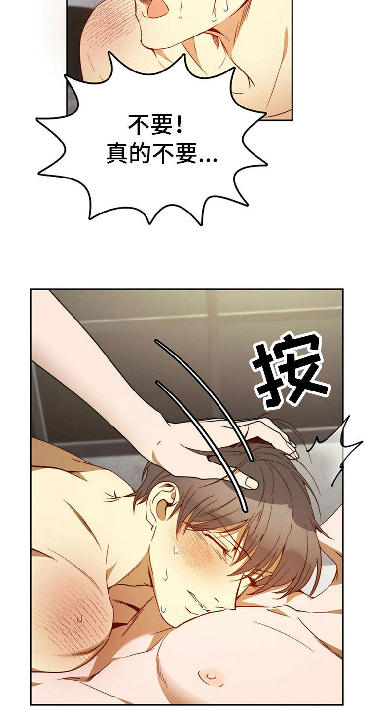 《钻石神偷》第30章重新投胎 第5页