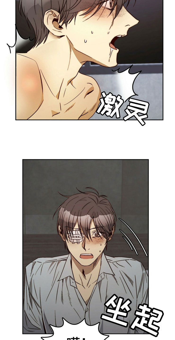 《钻石神偷》第30章重新投胎 第9页