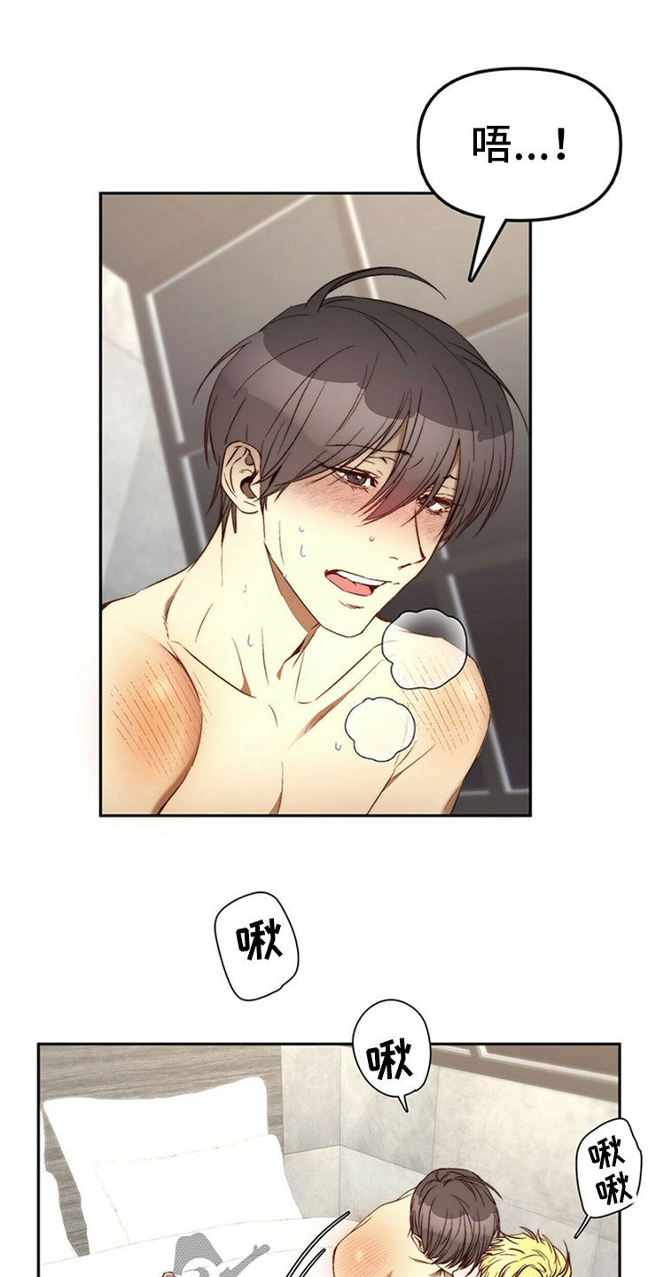 《钻石神偷》第29章够了 第12页