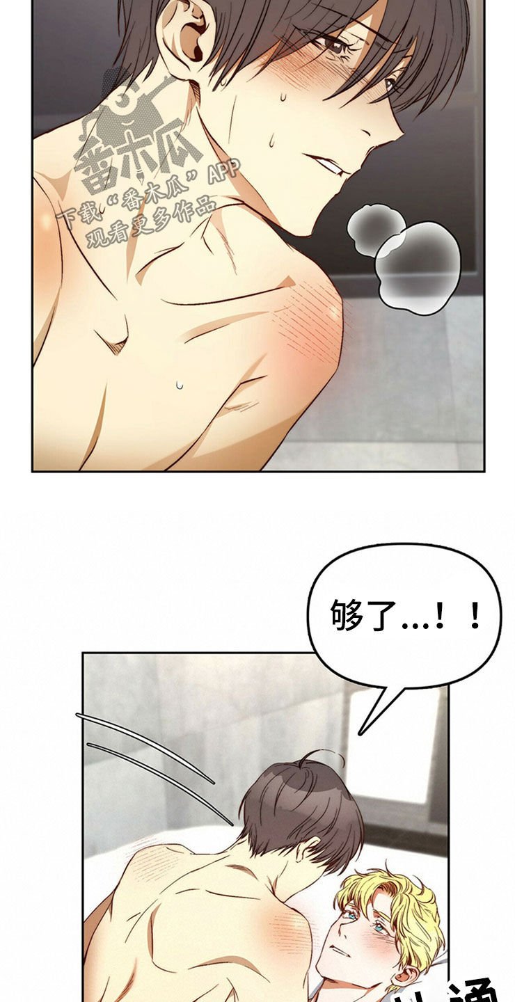 《钻石神偷》第29章够了 第16页