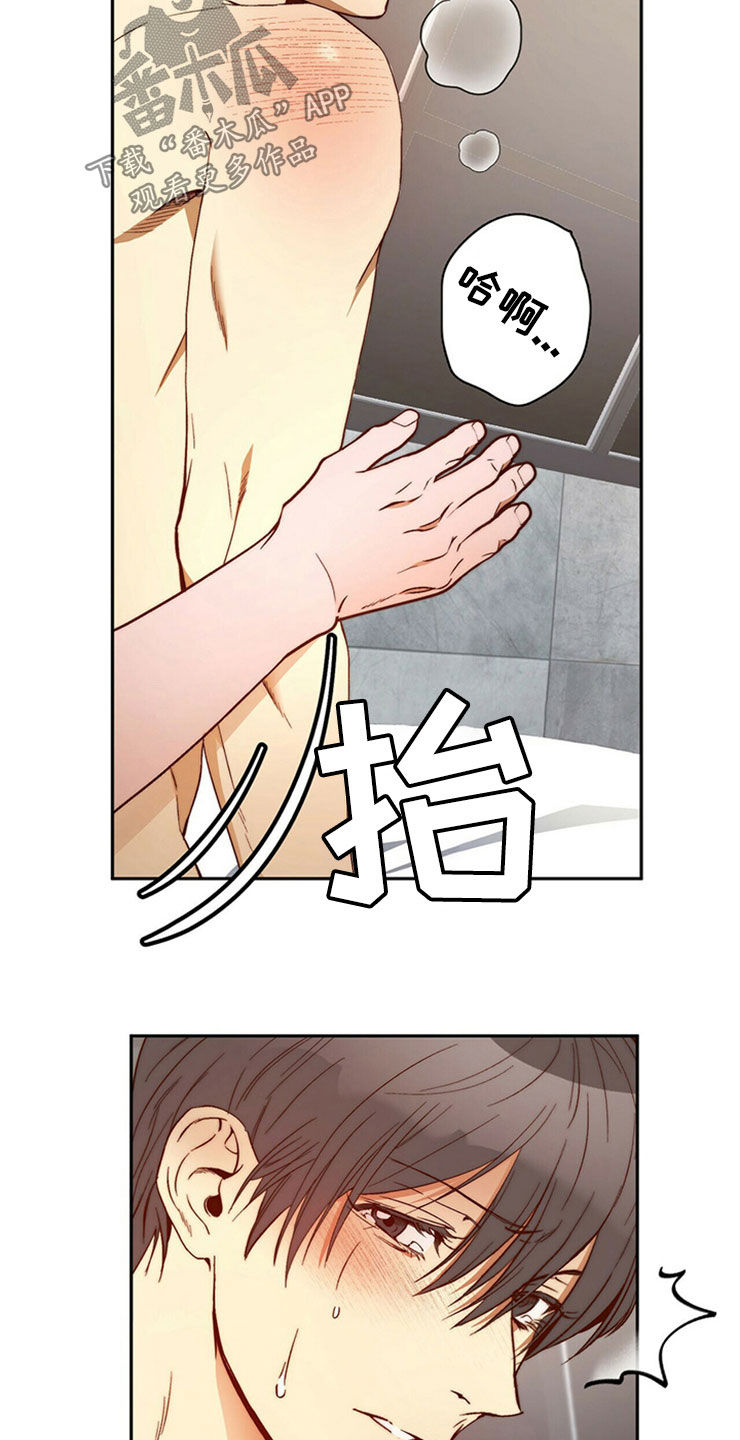 《钻石神偷》第29章够了 第19页
