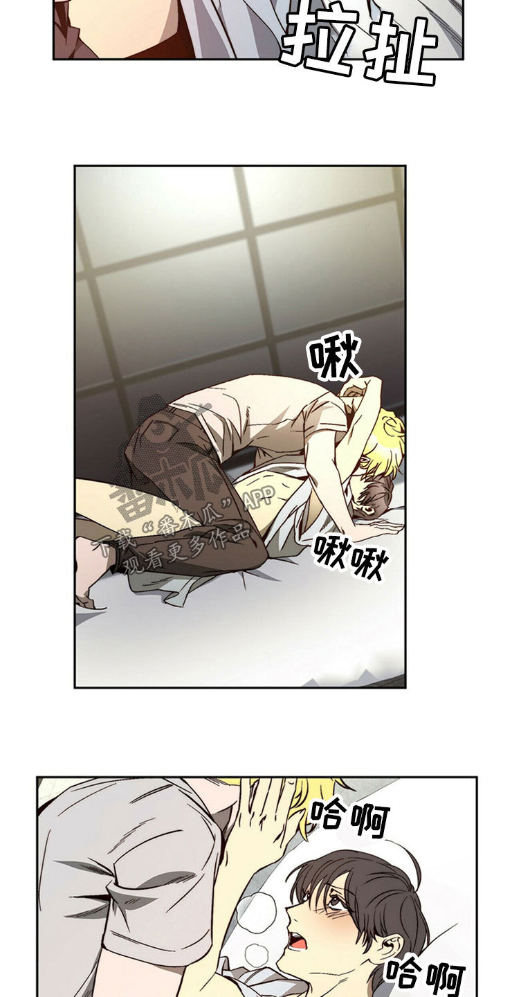 《钻石神偷》第29章够了 第2页
