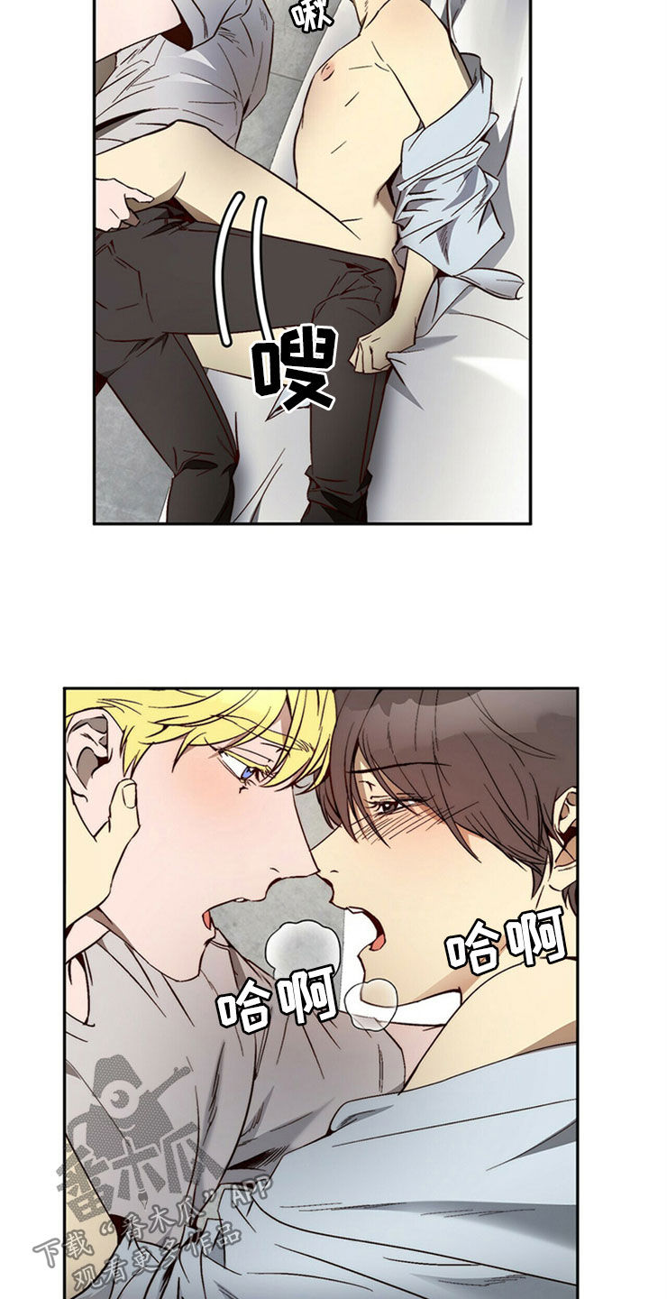 《钻石神偷》第29章够了 第5页