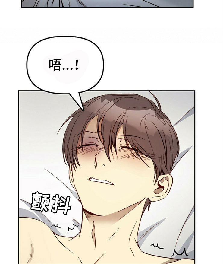 《钻石神偷》第29章够了 第6页